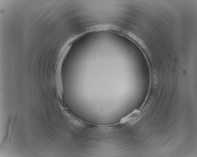 X0000073991473200609111521