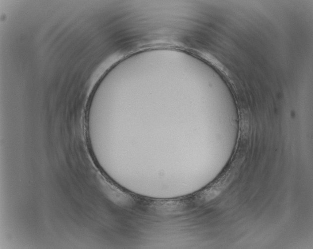 X0000073991474200609111521