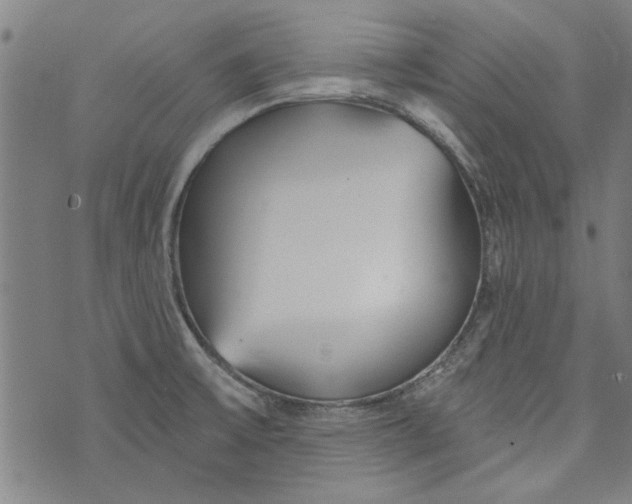 X0000073991475200609111521