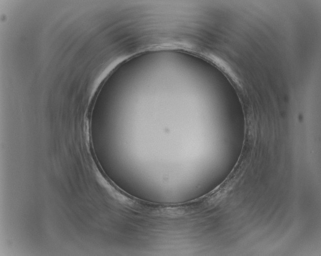 X0000073991476200609111520