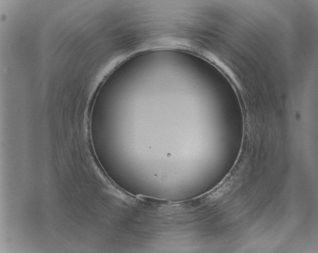 X0000073991477200609111520