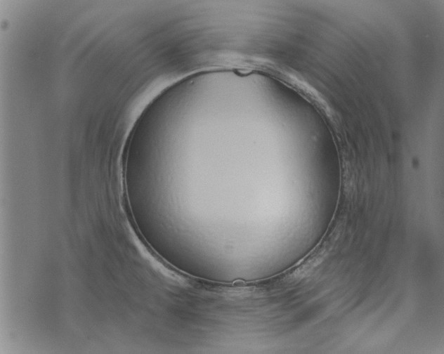 X0000073991479200609111520