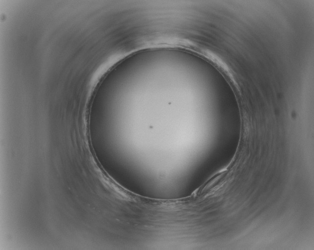 X0000073991480200609111520