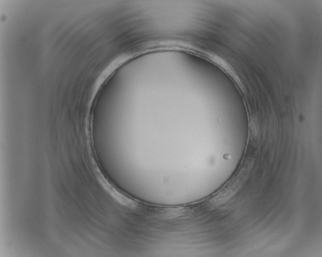 X0000073991482200609111520