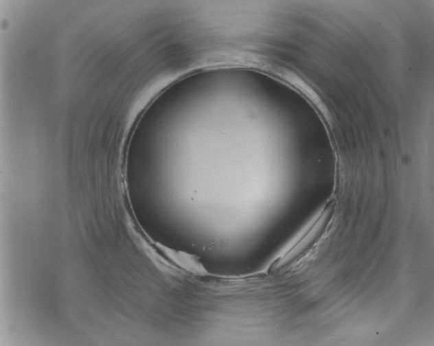 X0000073991485200609111520