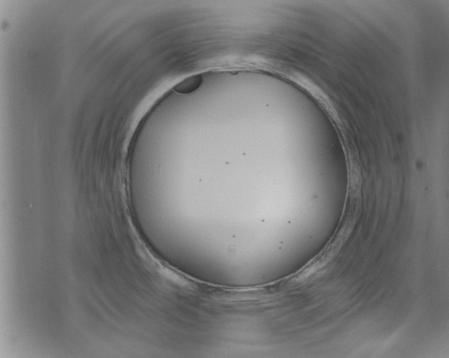 X0000073991486200609111520