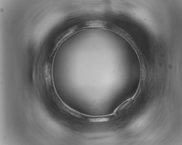 X0000073991487200609111520