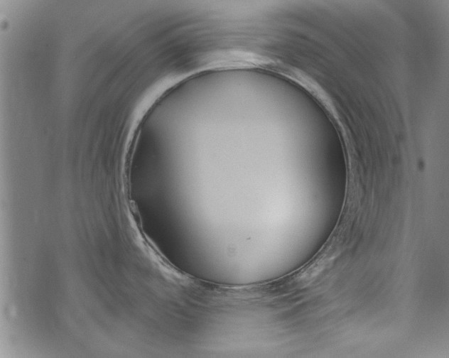 X0000073991488200609111520