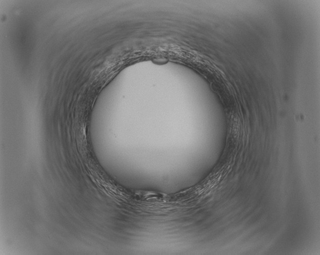 X0000073991489200609111519