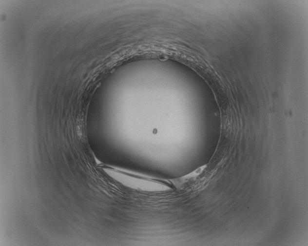 X0000073991490200609111520