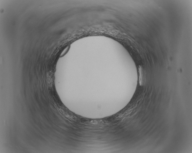 X0000073991491200609111520