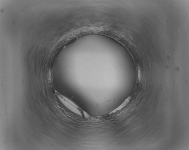 X0000073991492200609111520