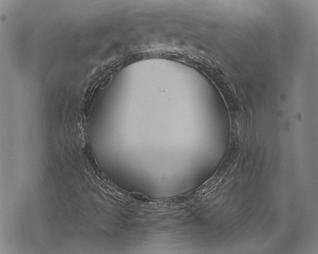 X0000073991493200609111520