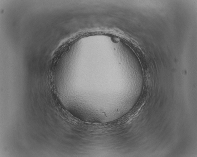 X0000073991494200609111520