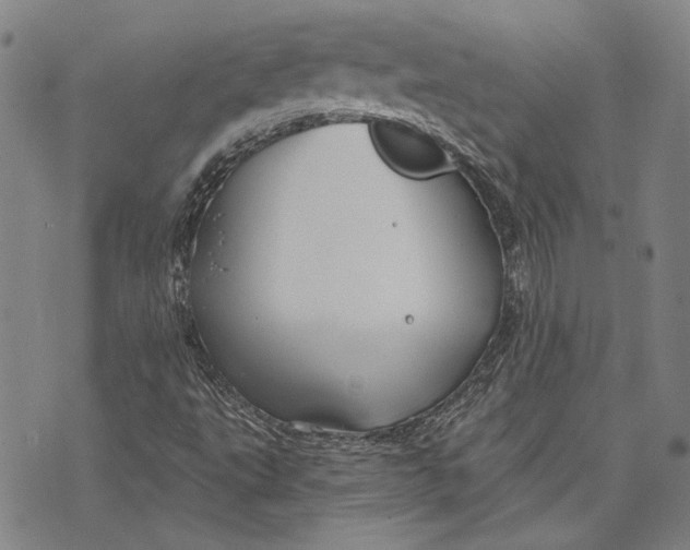 X0000073991495200609111520