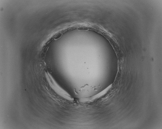 X0000073991496200609111520