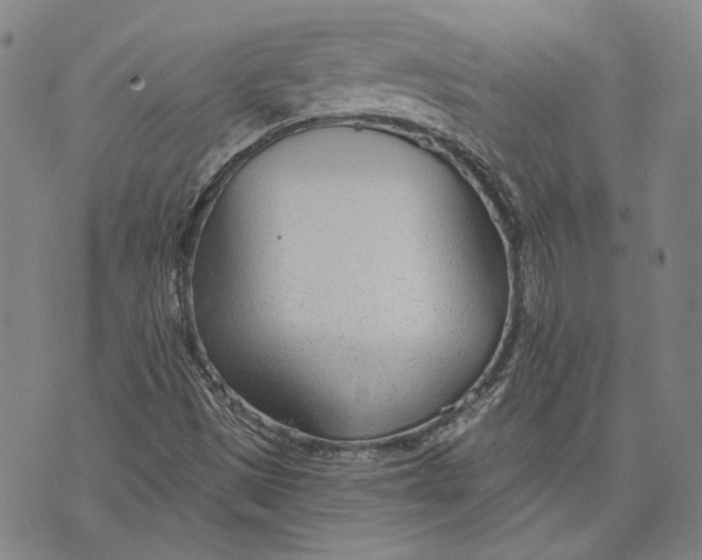 X0000073991497200609111520