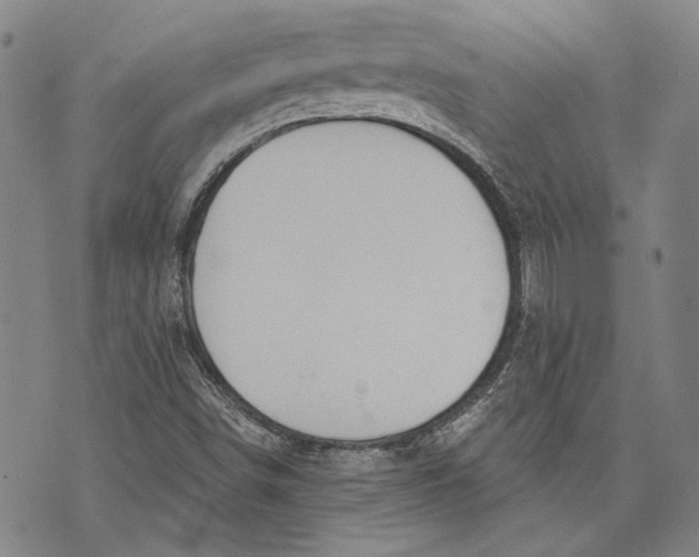 X0000073991498200609111520