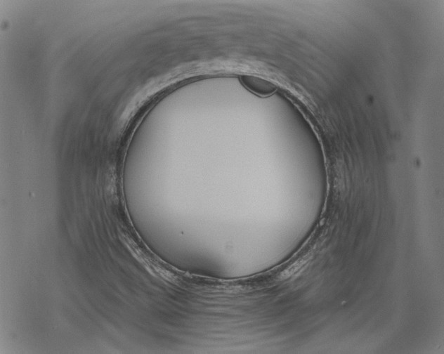 X0000073991499200609111520