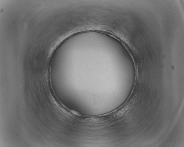 X0000073991500200609111520