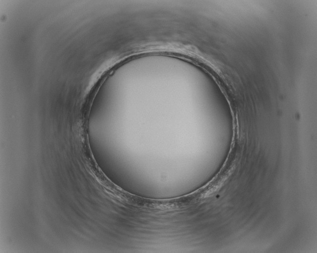 X0000073991501200609111520