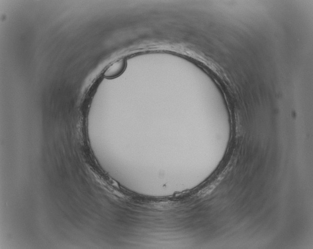 X0000073991502200609111520