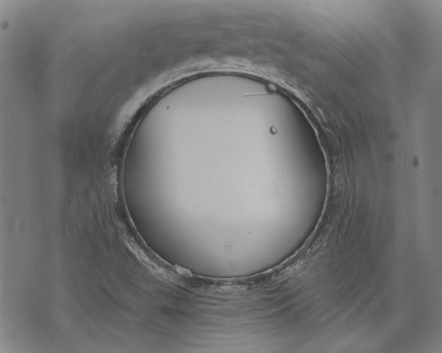 X0000073991503200609111520