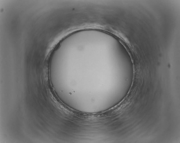 X0000073991504200609111520