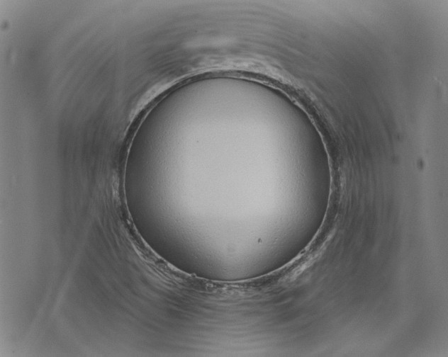 X0000073991505200609111520