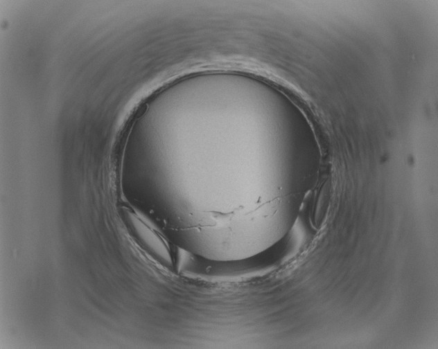 X0000073991506200609111520