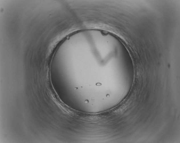 X0000073991507200609111520