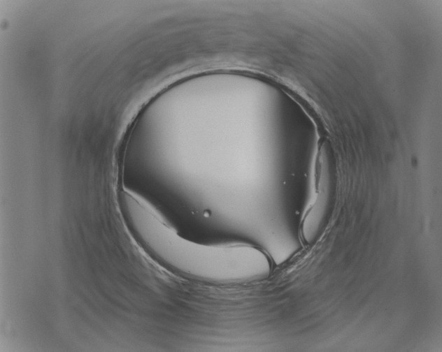 X0000073991508200609111520