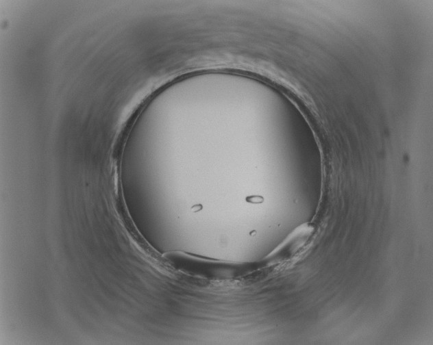 X0000073991509200609111520