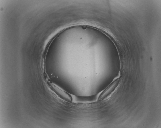 X0000073991510200609111520