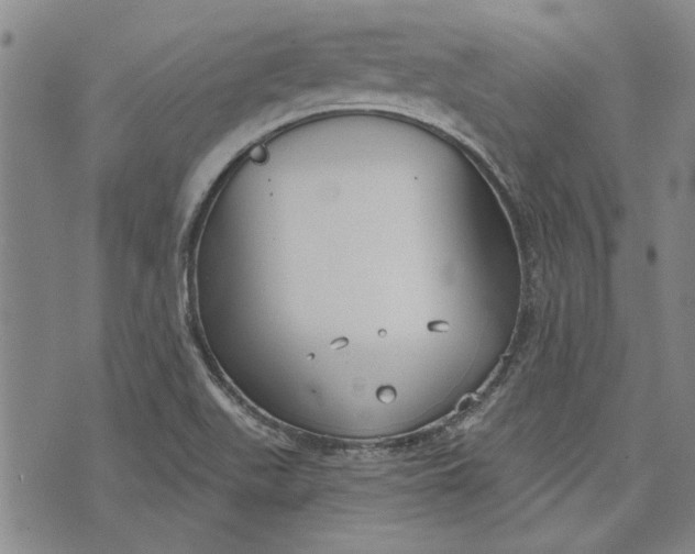 X0000073991511200609111520