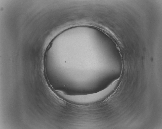 X0000073991512200609111520