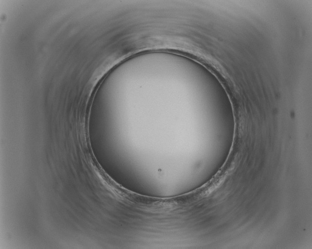 X0000073991513200609111520