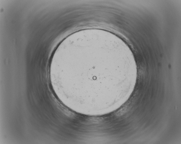 X0000073991514200609111520