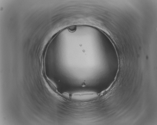 X0000073991515200609111520