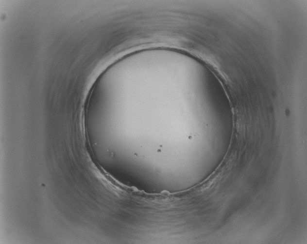 X0000073991516200609111520