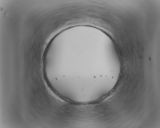 X0000073991518200609111520