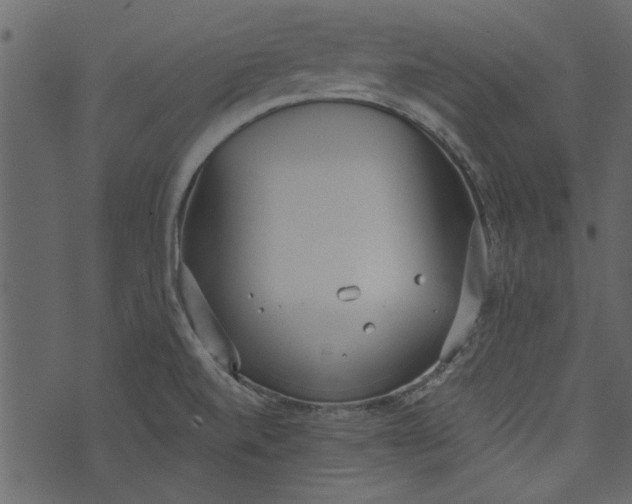 X0000073991520200609111520