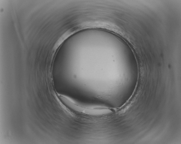 X0000073991521200609111520