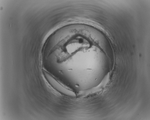 X0000073991522200609111520