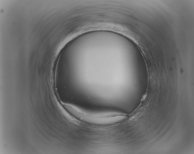 X0000073991523200609111520