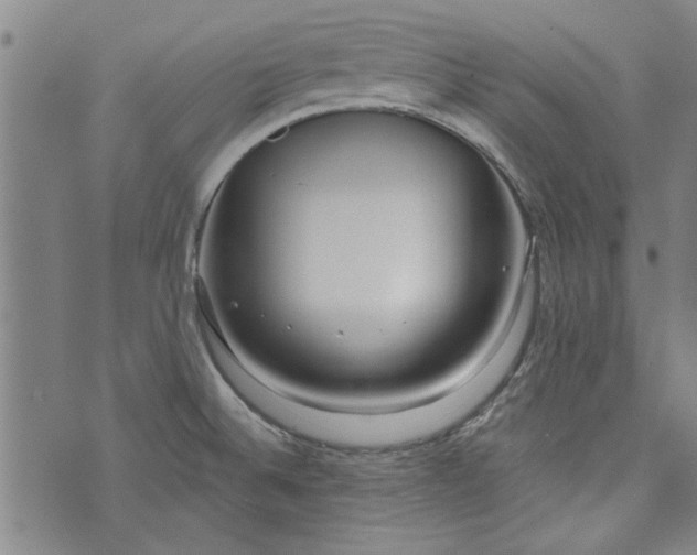 X0000073991524200609111520