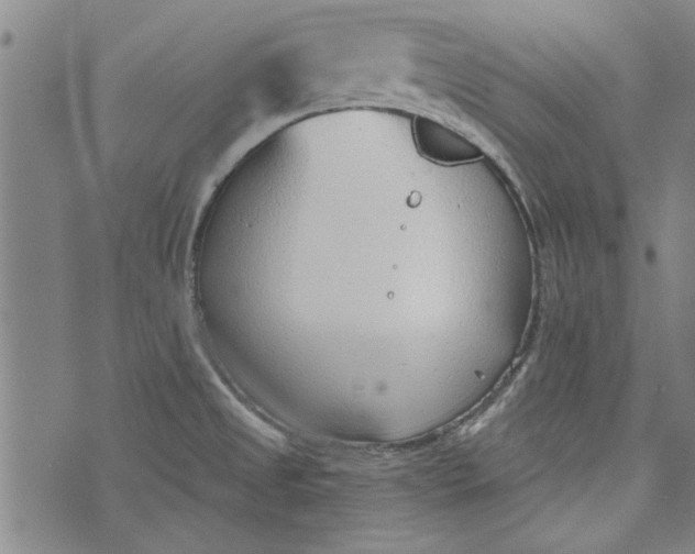 X0000073991525200609111520