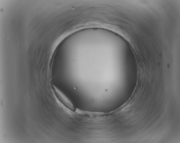 X0000073991527200609111520