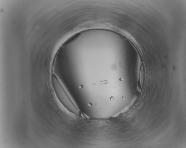 X0000073991528200609111520