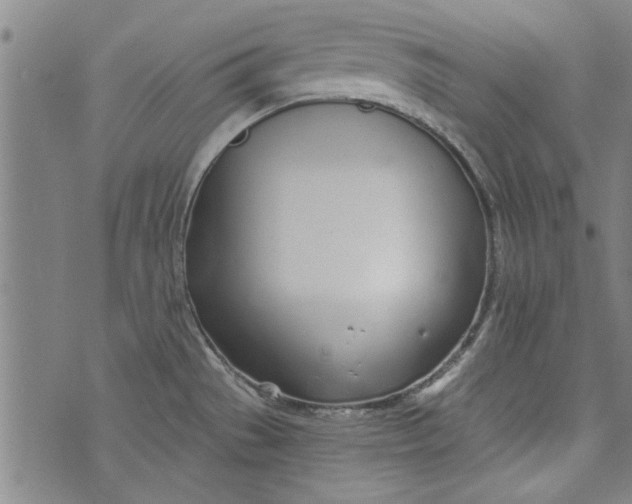 X0000073991529200609111520